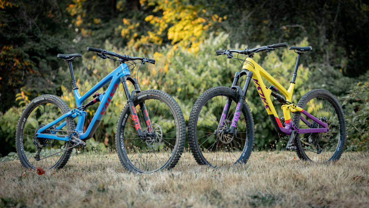 Salsa sales blackthorn frame