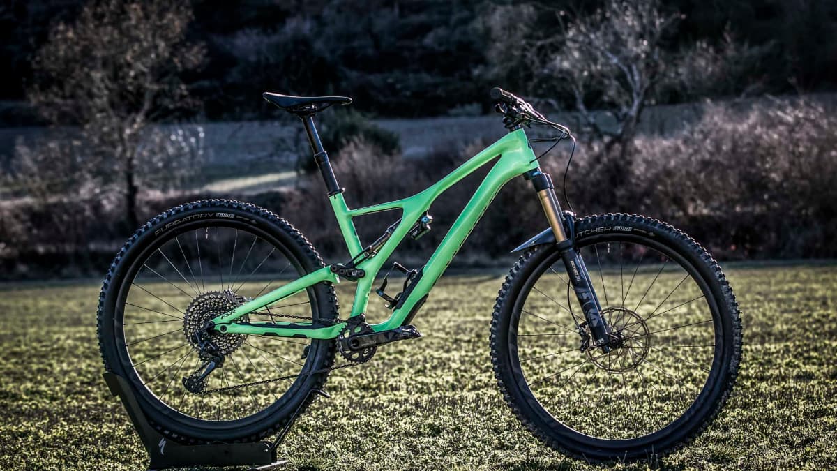 2019 stumpjumper s works on sale