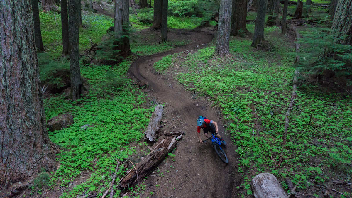 How to Ride Alpine Trail in Oakridge Oregon sitename BikeMag