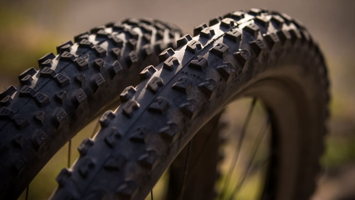 Fat 2025 albert bike