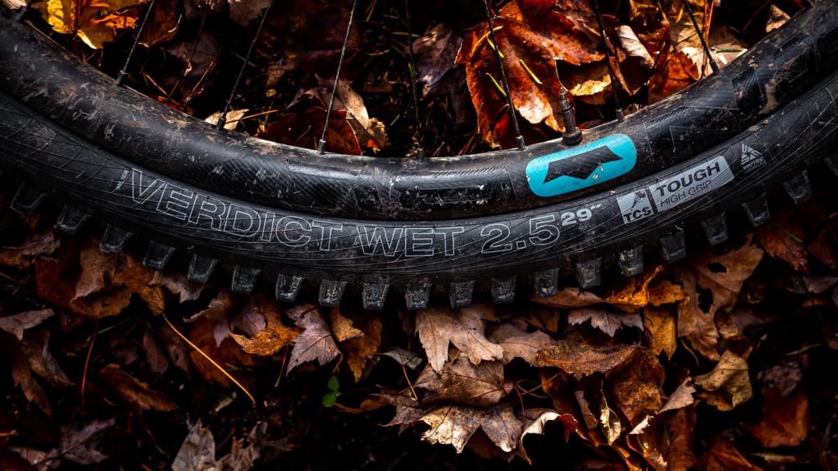 Wtb warden hotsell 27.5