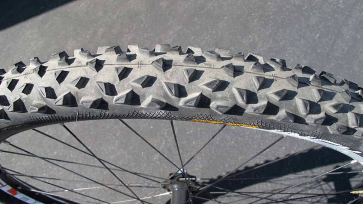 Review Continental Mountain King 29er 2.4 BikeMag