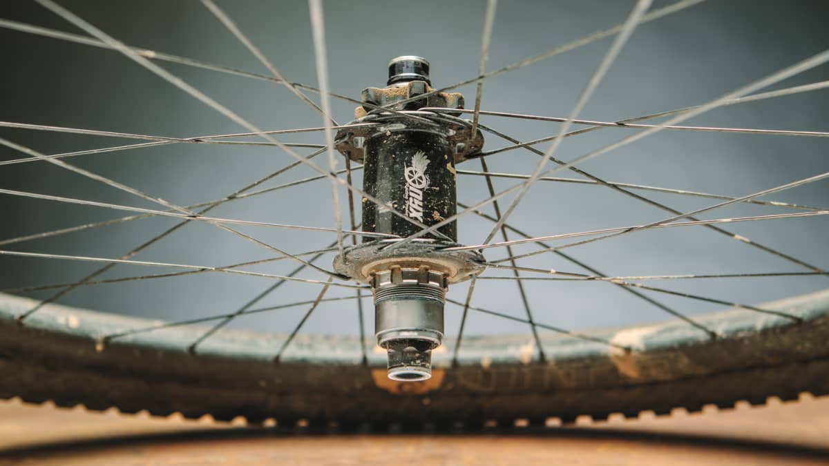 Loudest mtb hubs 2019 2025