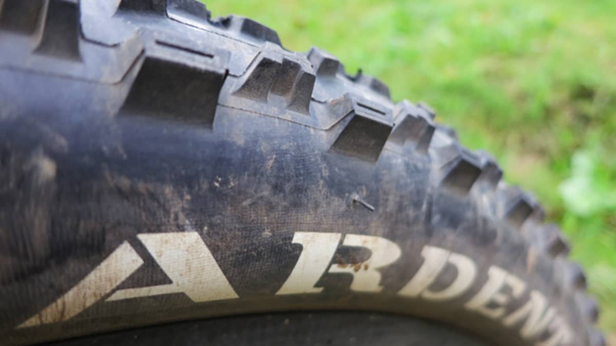 Maxxis ardent 27.5 review hot sale
