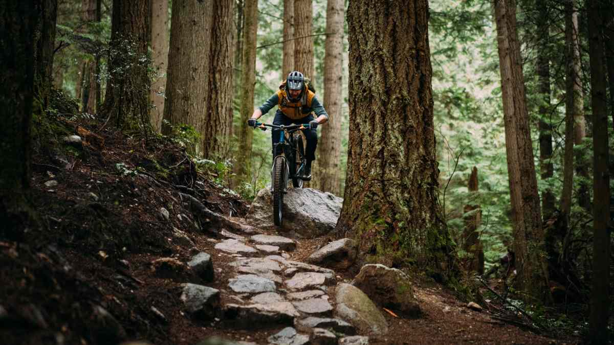 Downhill mtb brakes best sale