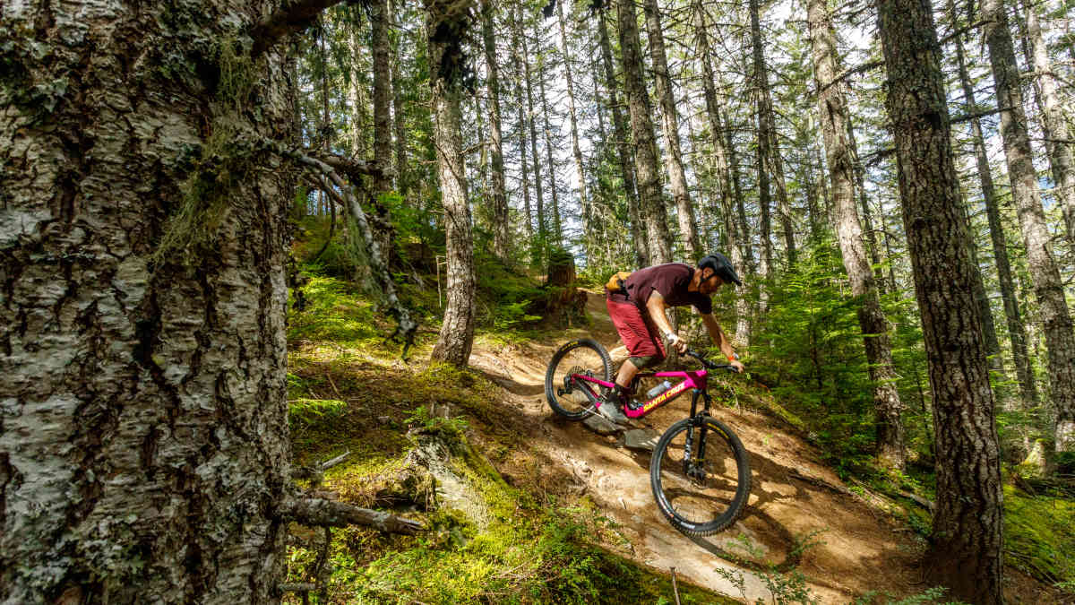 Review Santa Cruz New Bronson Trail Bike 2024 Tested BikeMag