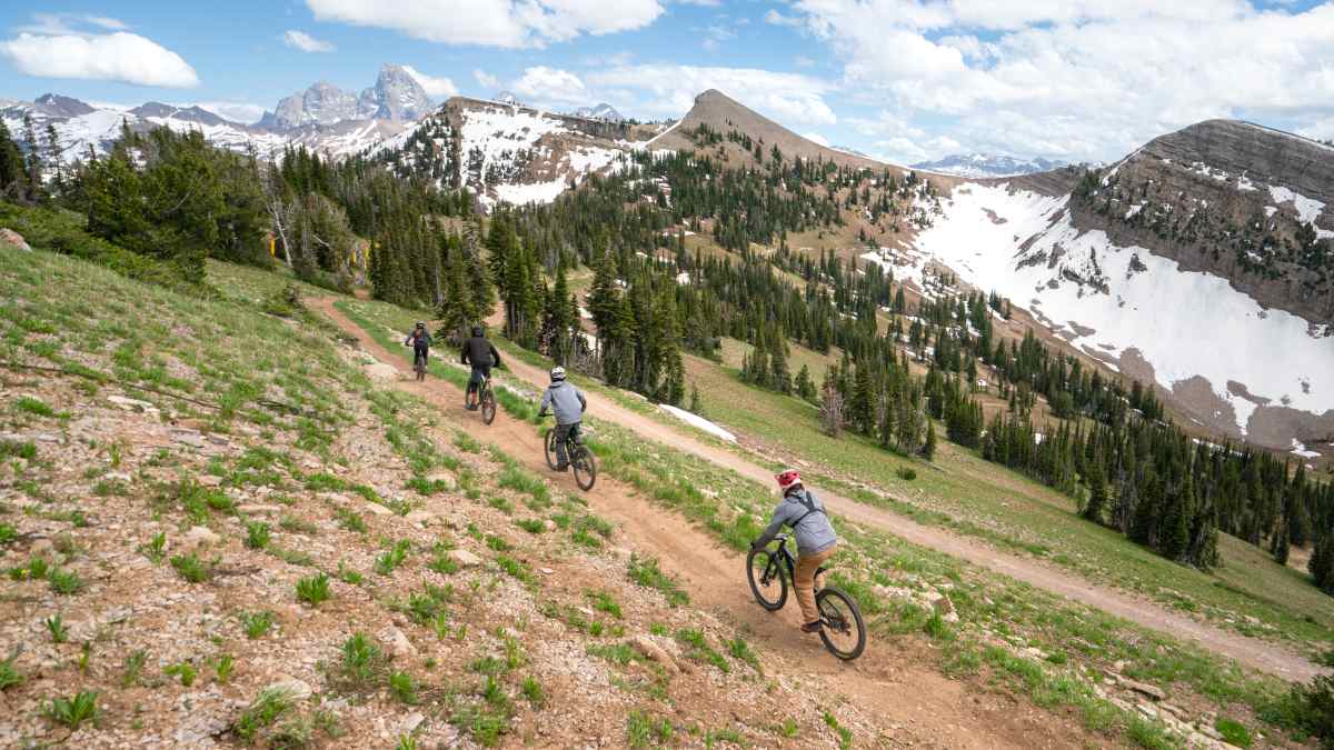 Grand targhee mountain biking sale