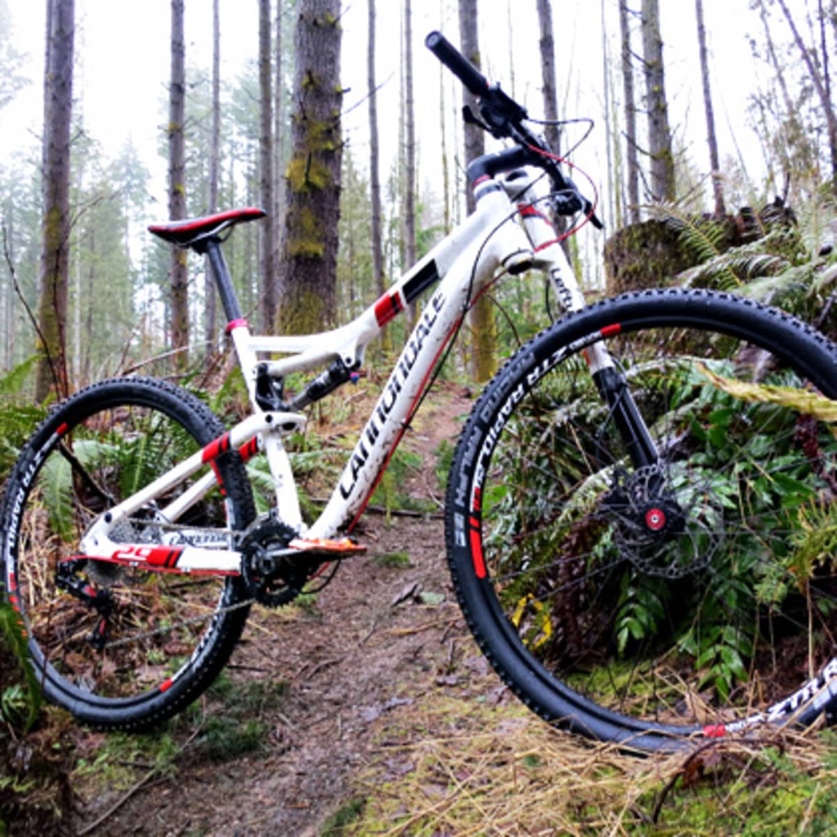 cannondale scalpel 29 lefty