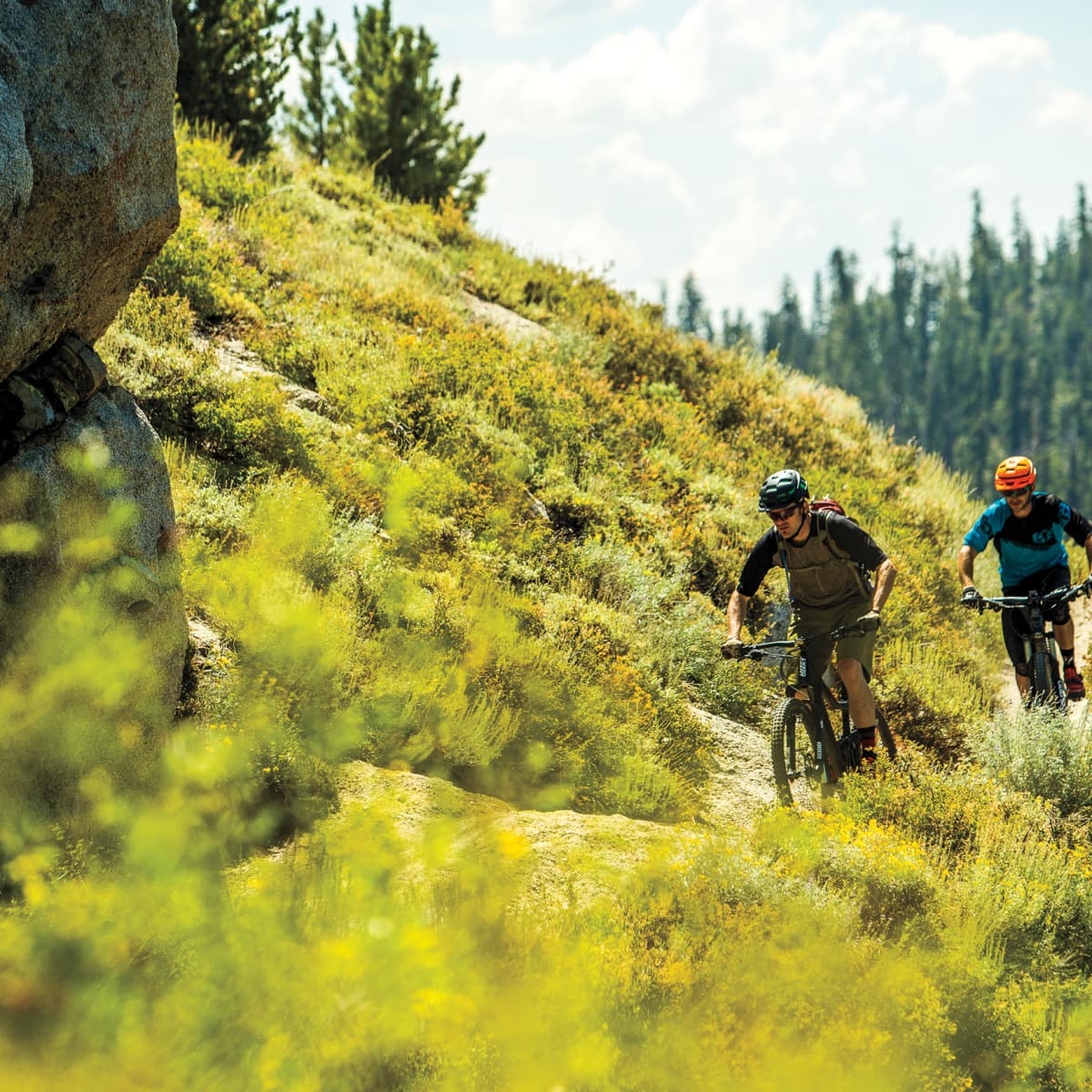 e bikes on national forest trails