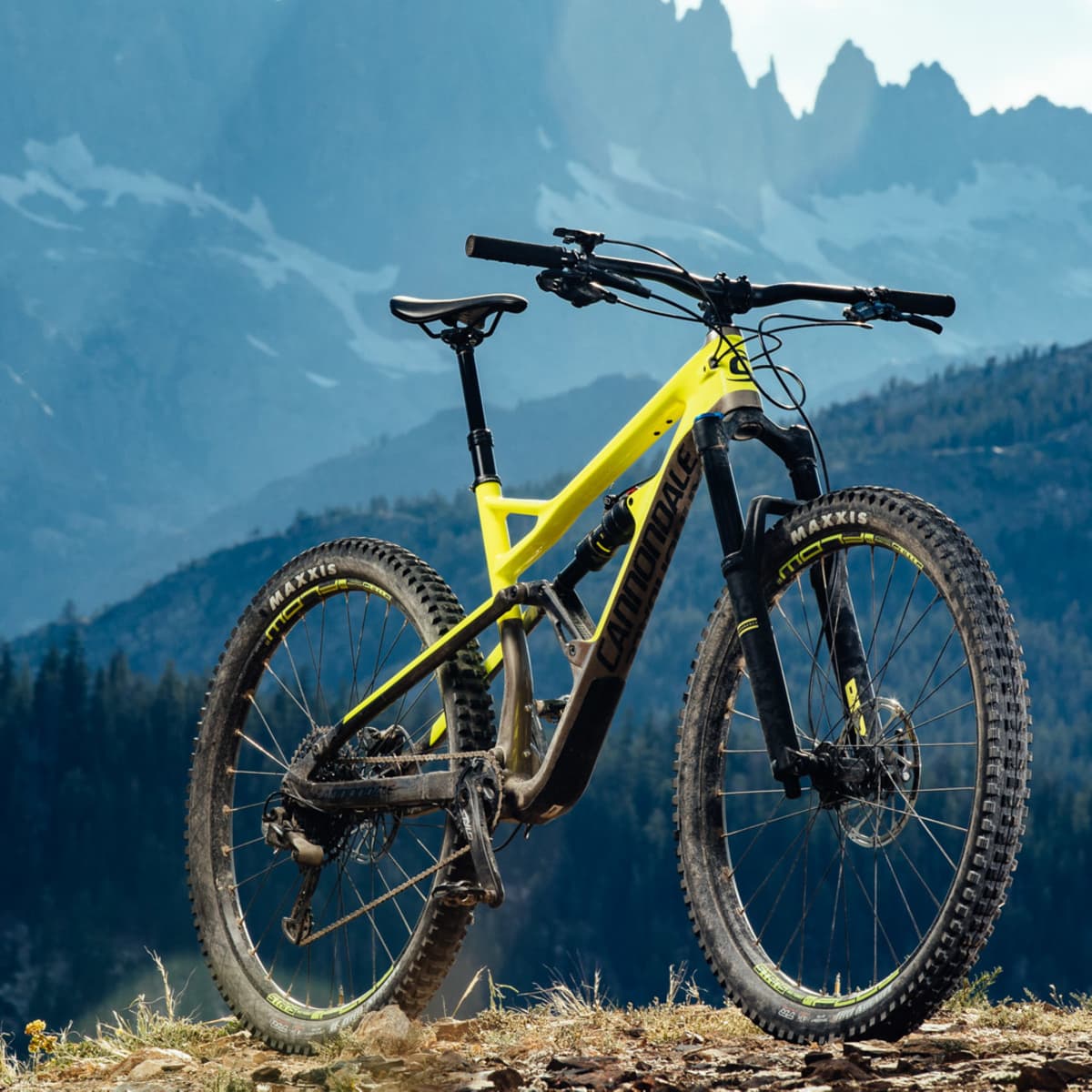 2019 cannondale jekyll