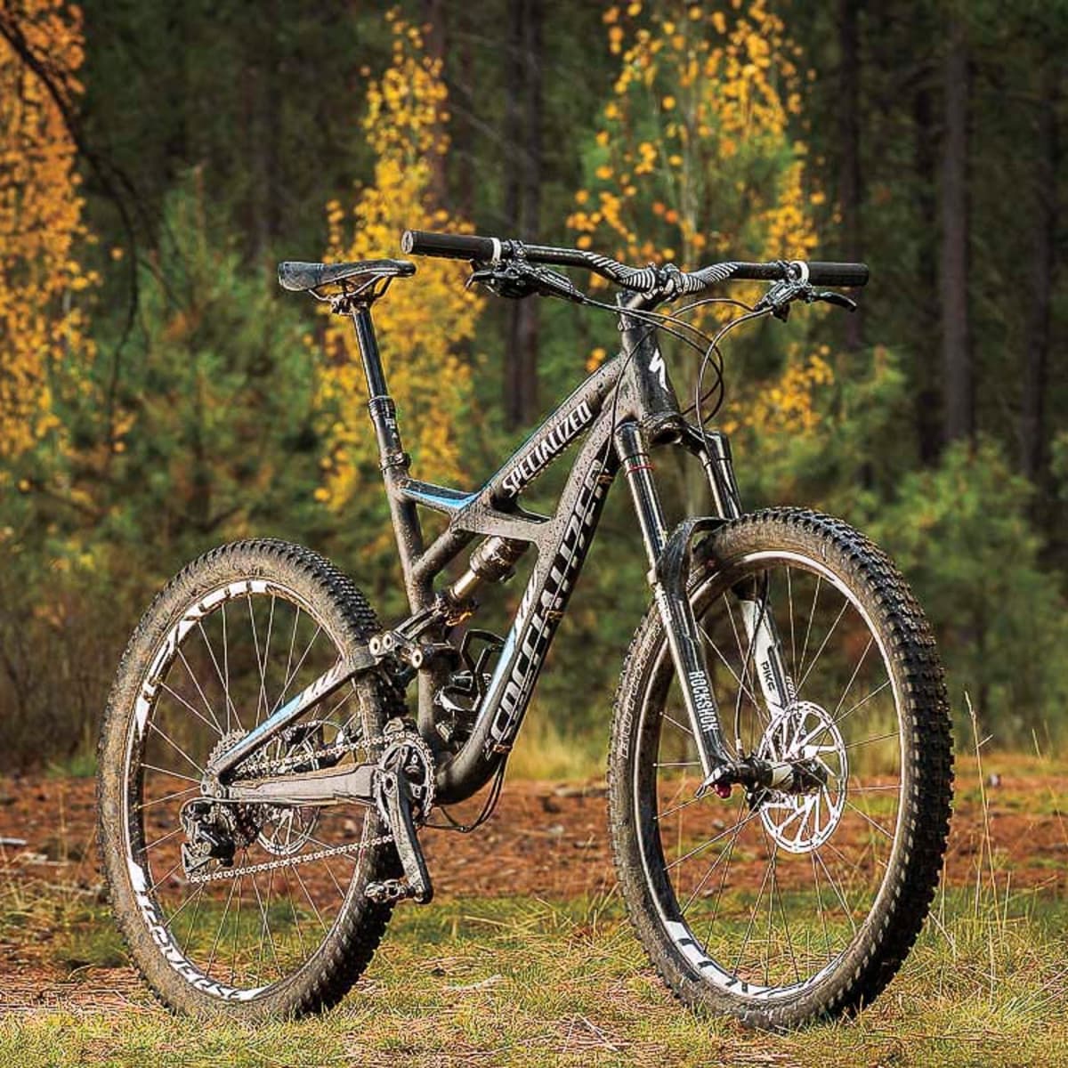 specialized enduro 650b