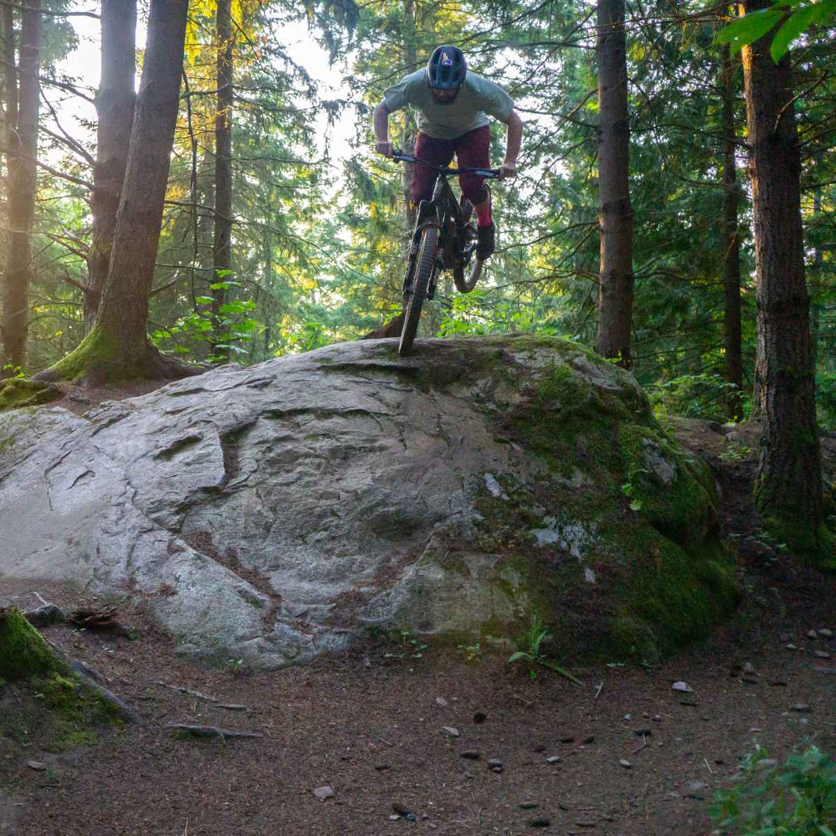 Stumpjumper review 2025