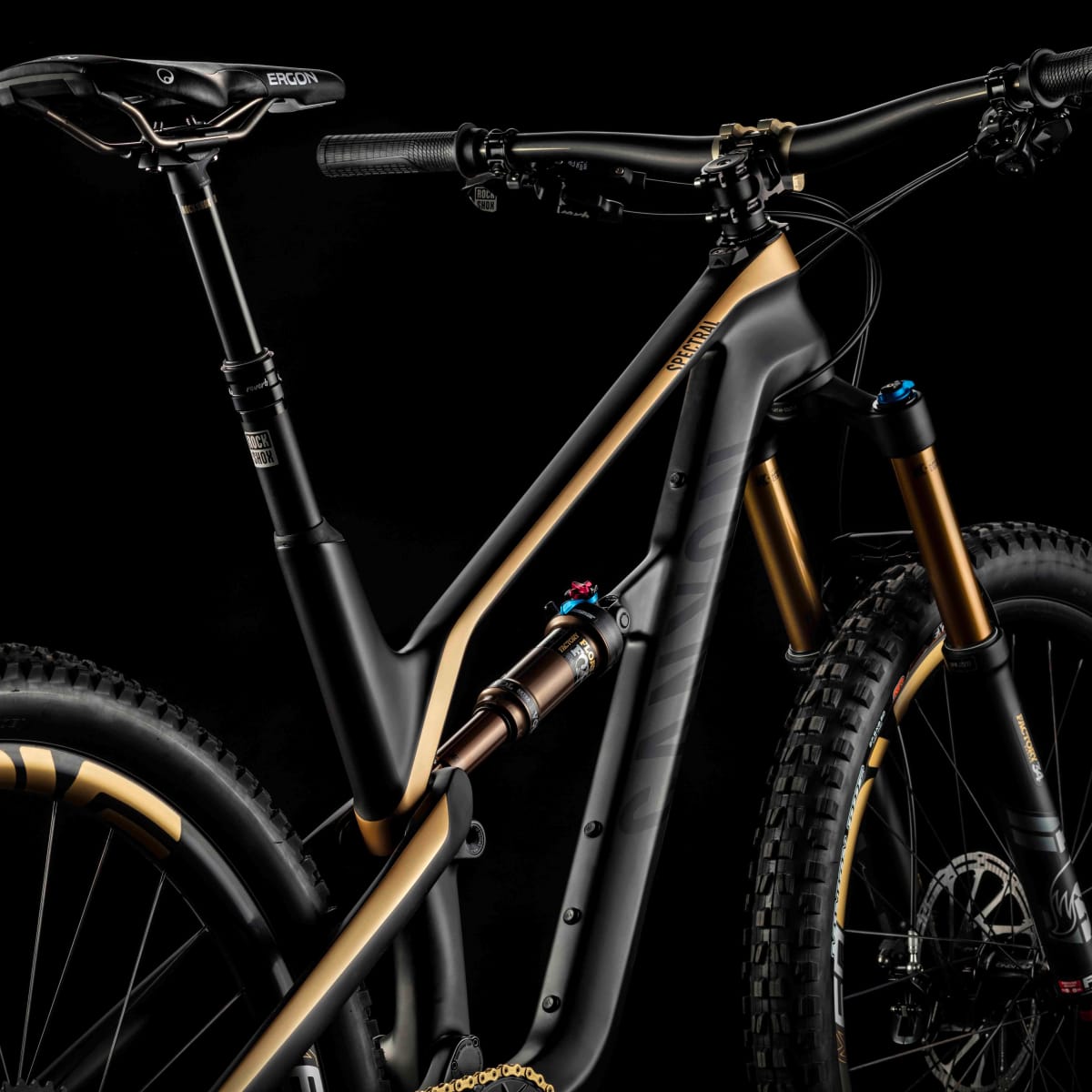 Trail bike of store the year 2018