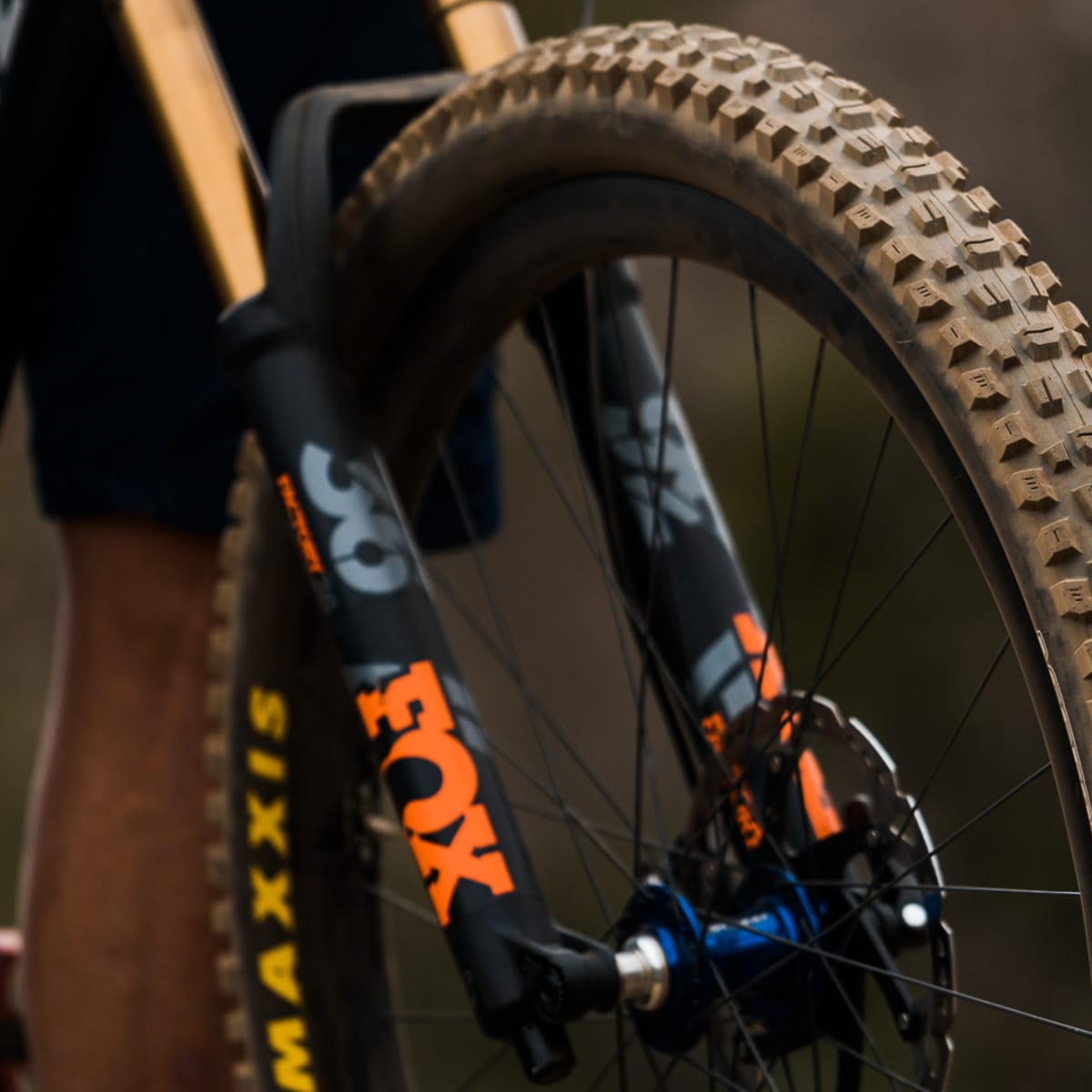 Maxxis mtb assegai deals