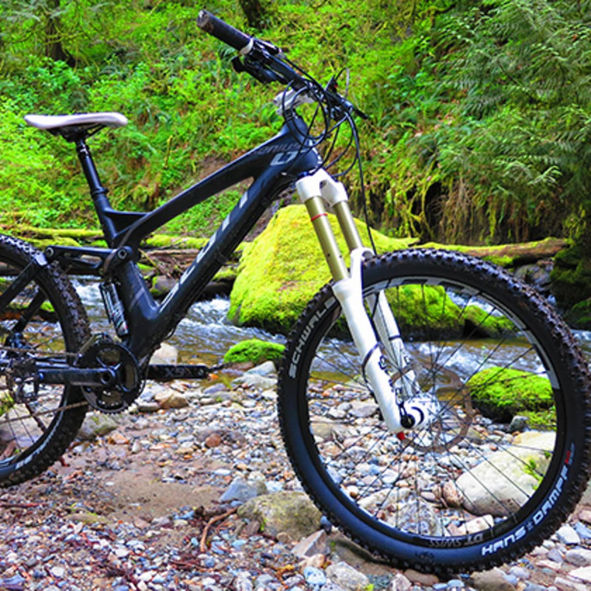 Scott lt sales