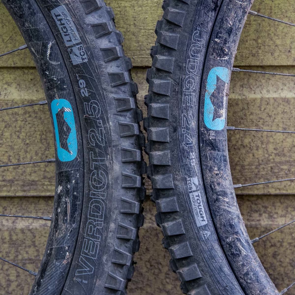 Wtb judge on sale