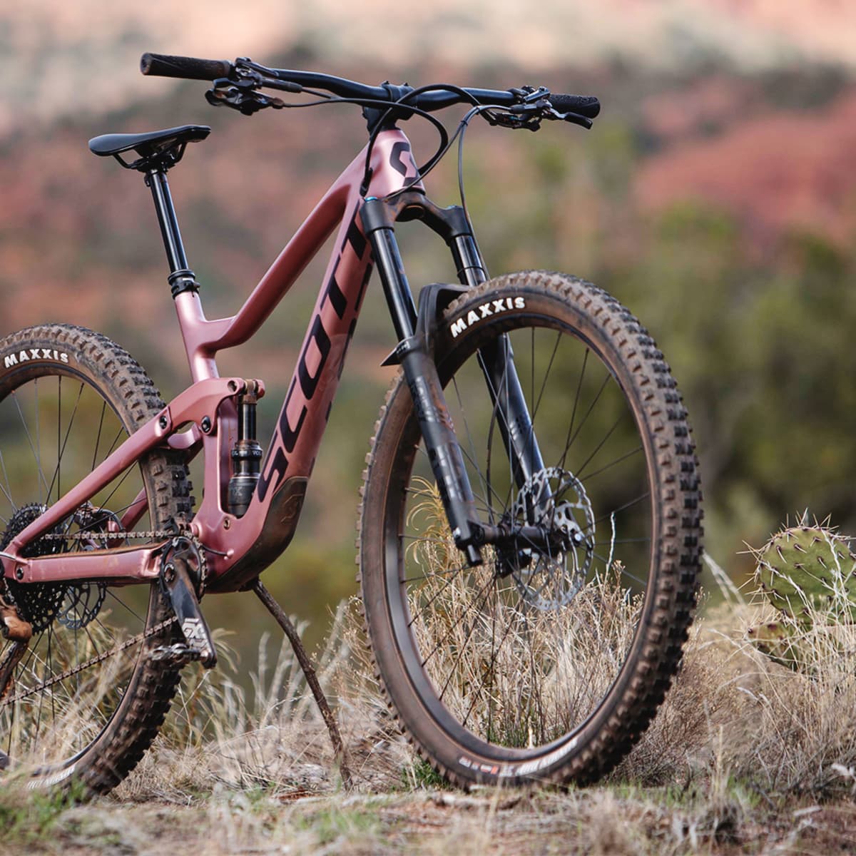 Scott shop contessa ransom