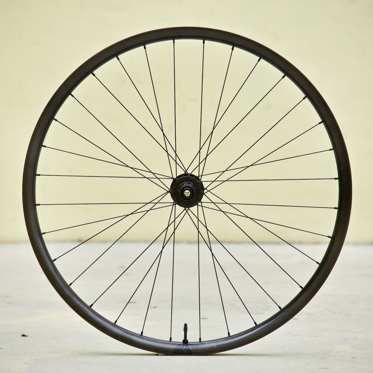 Lite deals bike wheels