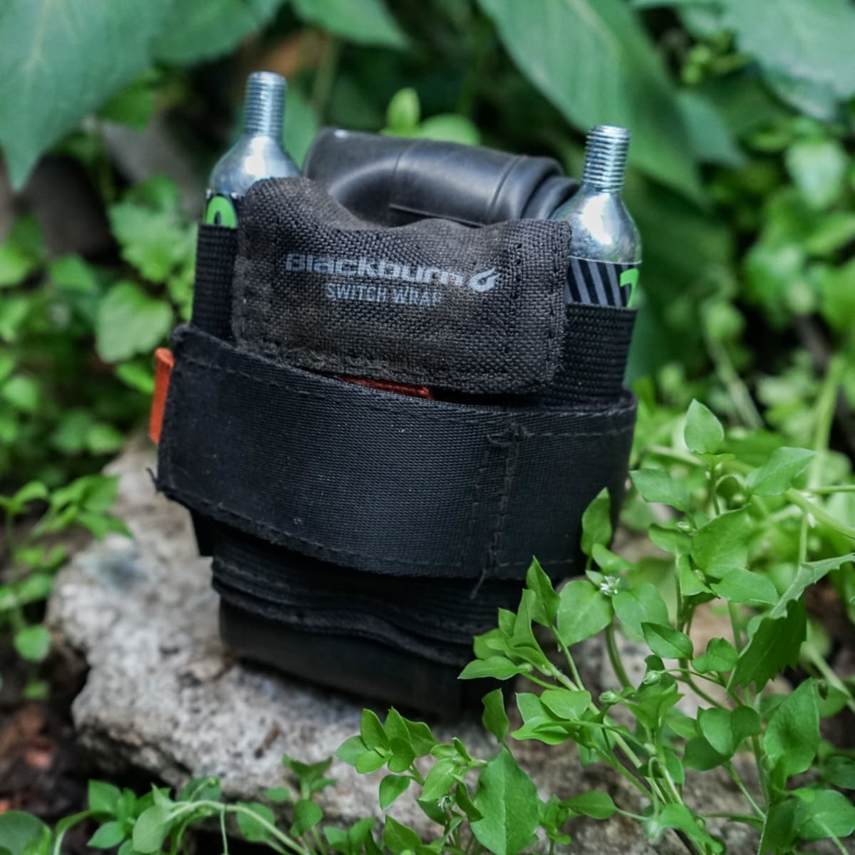Blackburn switch online