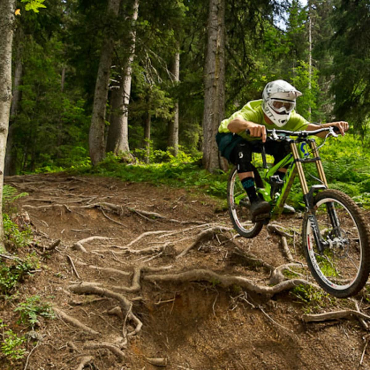 Scott gambler cheap 10 2013