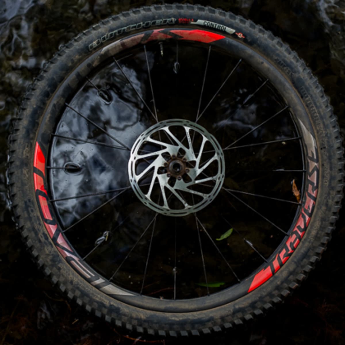 Roval best sale traverse fattie