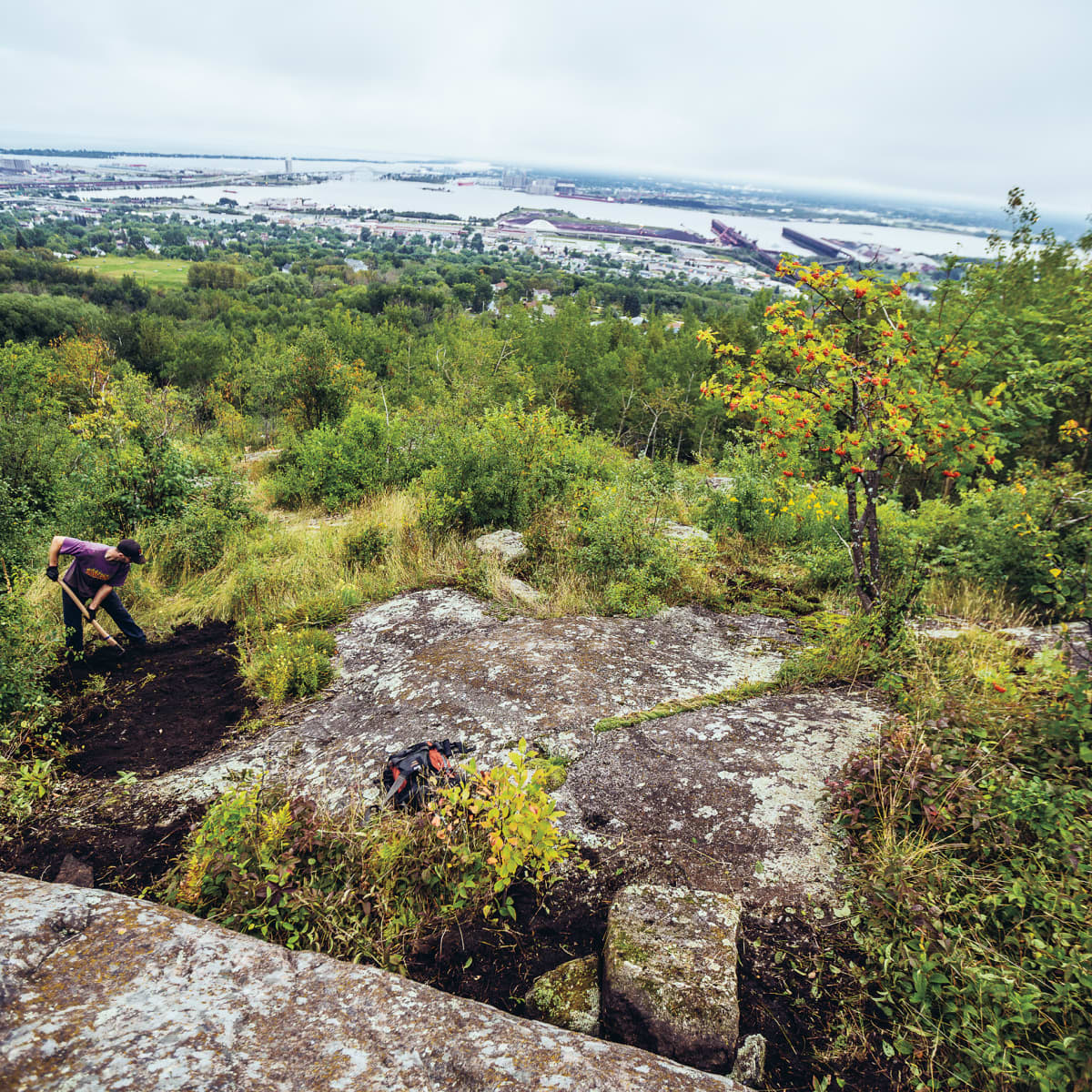 Coggs trails clearance