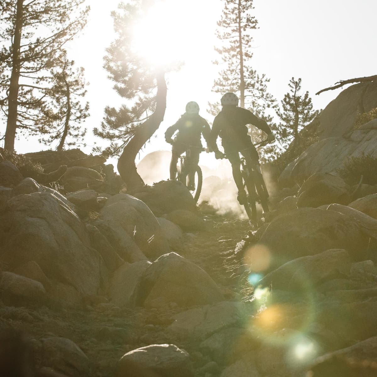 Bear valley deals mountain biking