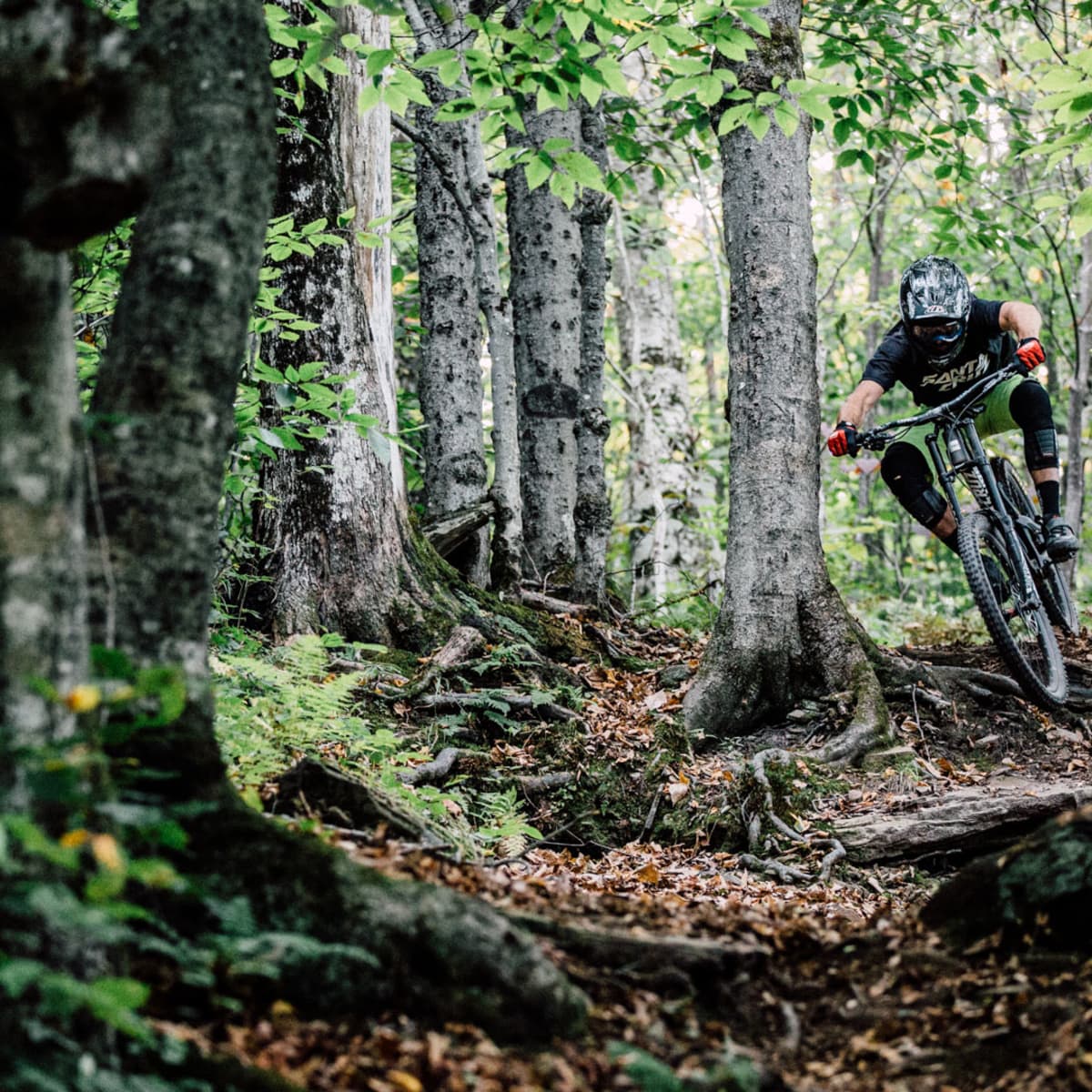 Cram Sessions The Bike Parks of the Right Coast BikeMag