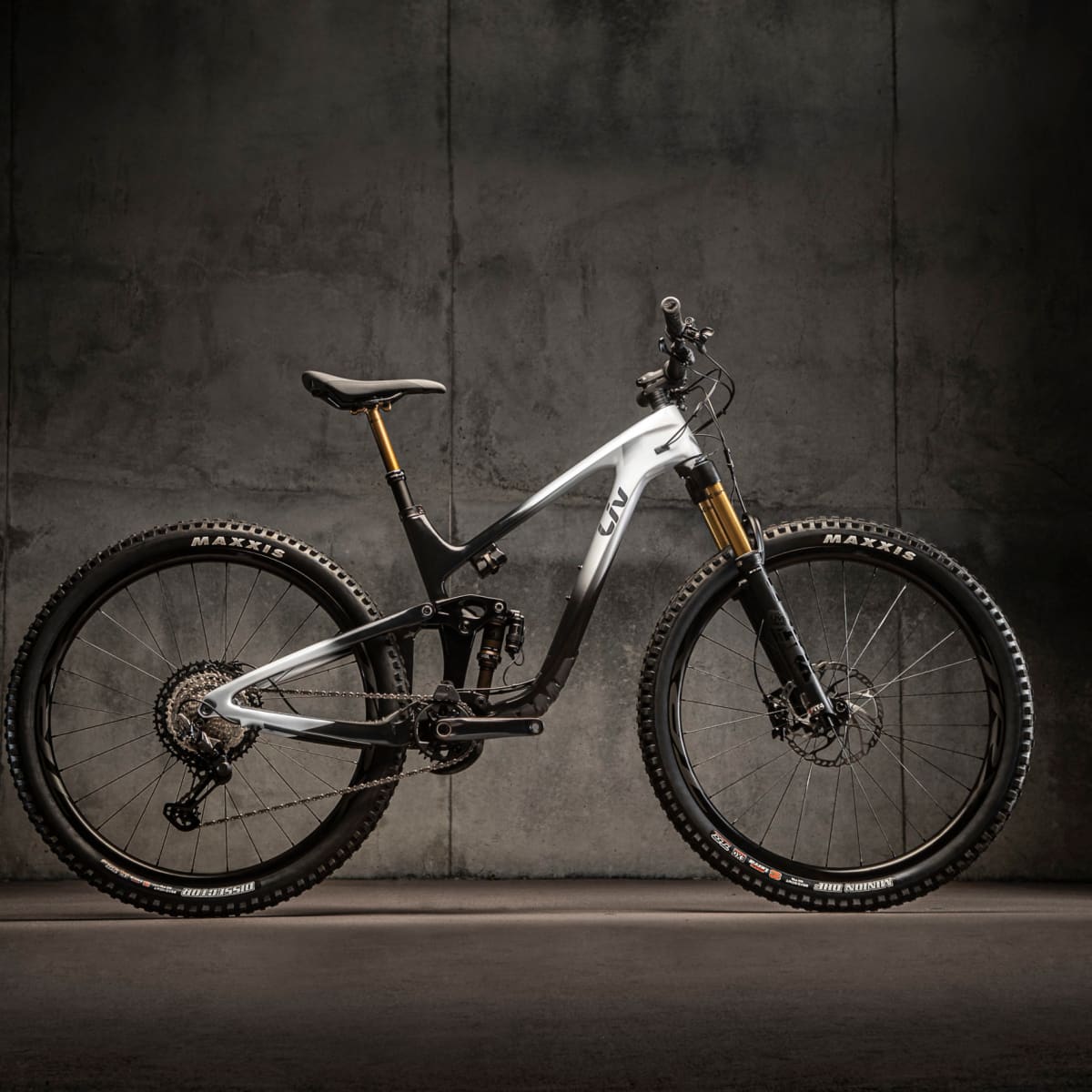 Liv bikes hotsell 2021 models