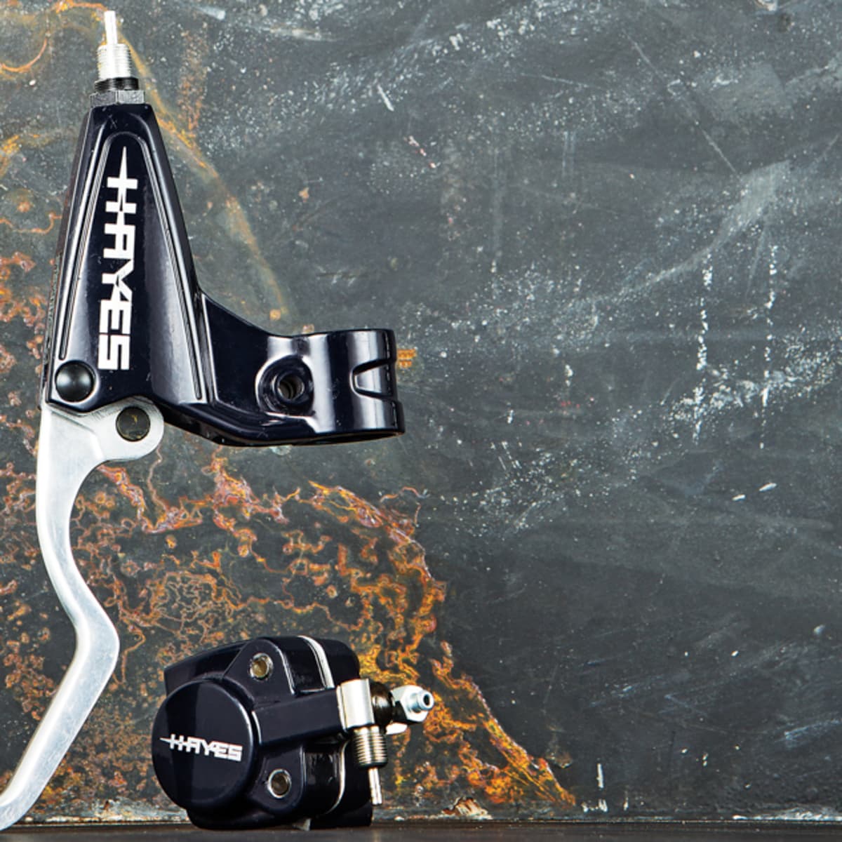 Hayes online mag brakes