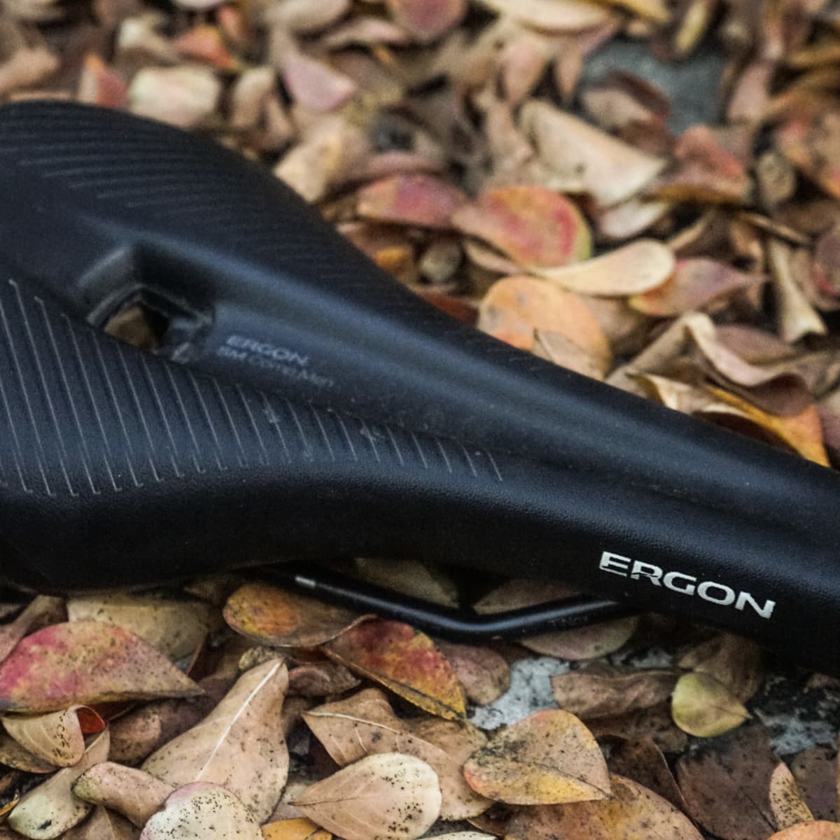 Ergon comp store