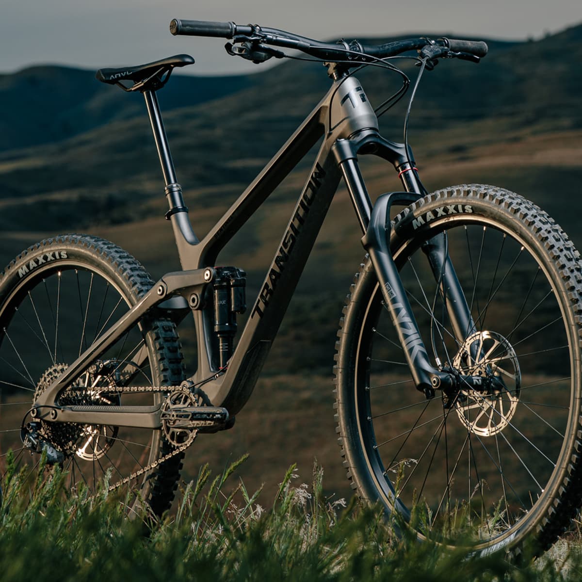 Transition sentinel shop review 2020