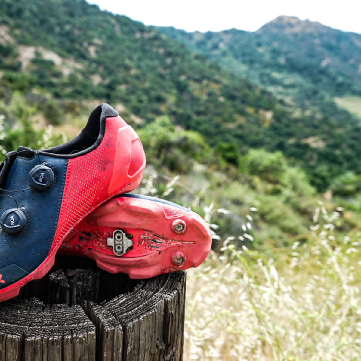 Bontrager discount xxx mtb