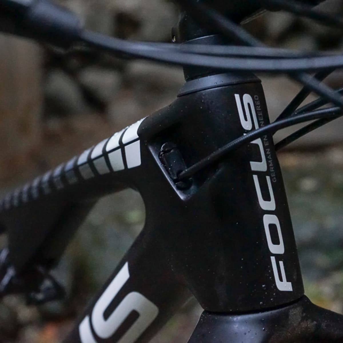Focus 2024 carbon frame