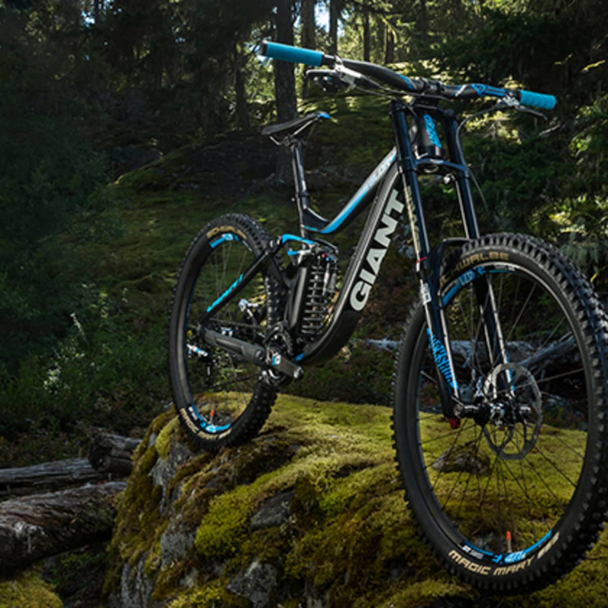 Giant best sale downhill glory