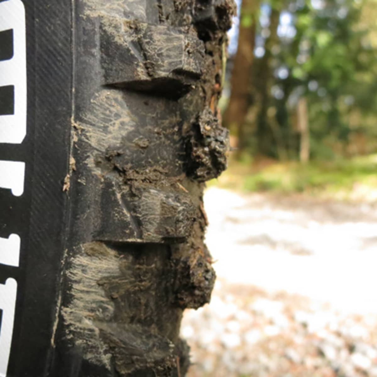 Michelin wild mud top advanced 27.5