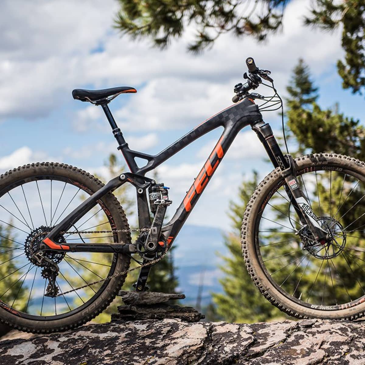 Felt decree mountain bike store