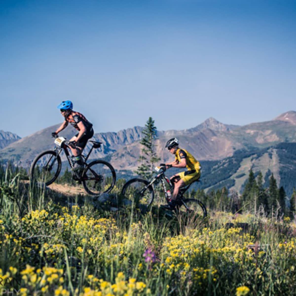 Breck epic sale