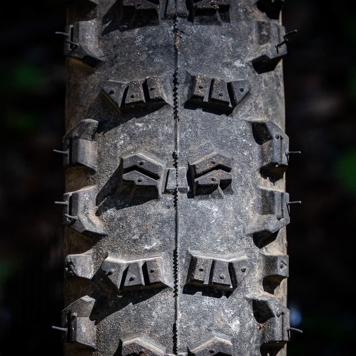 Continental mountain king ii online review