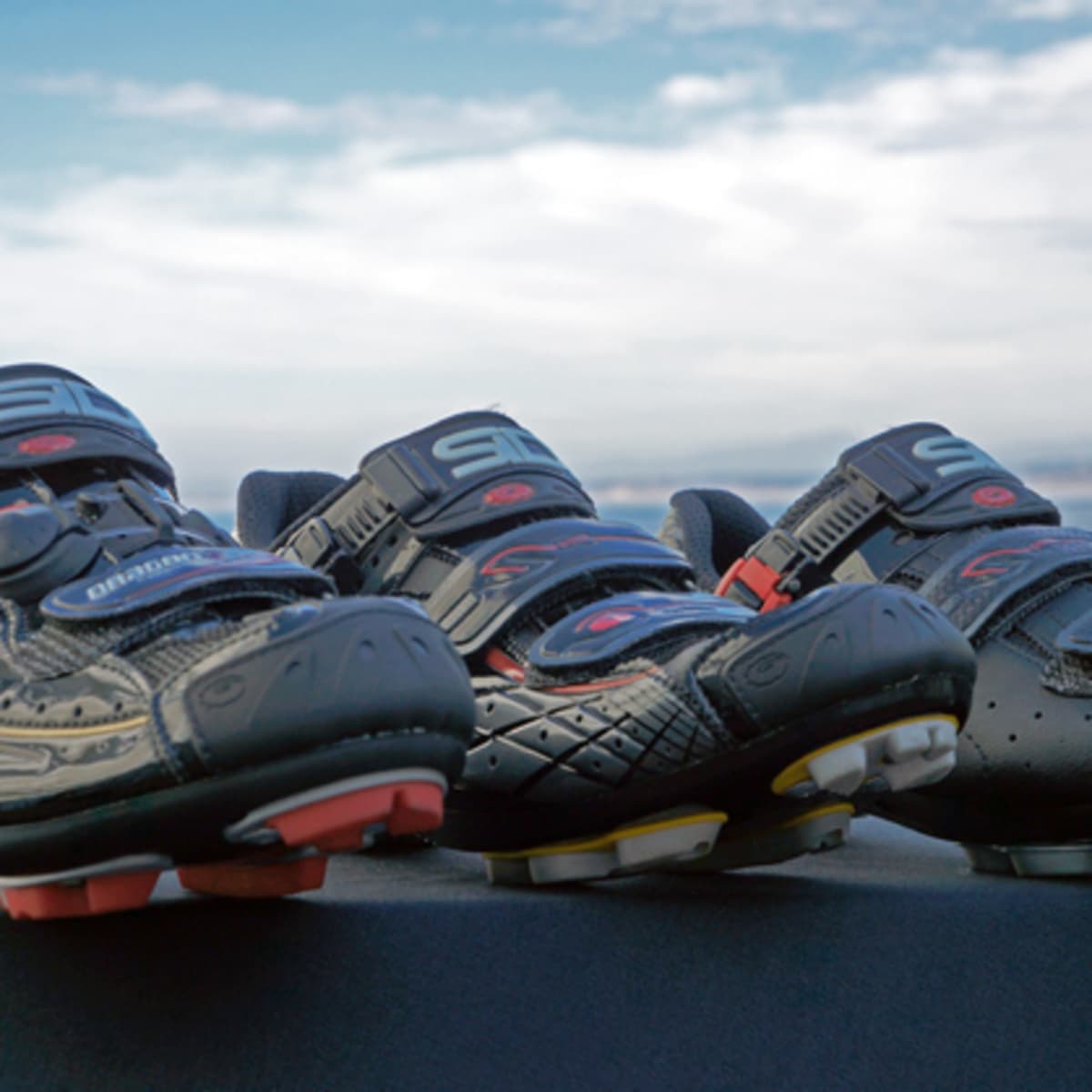 Sidi spider clearance