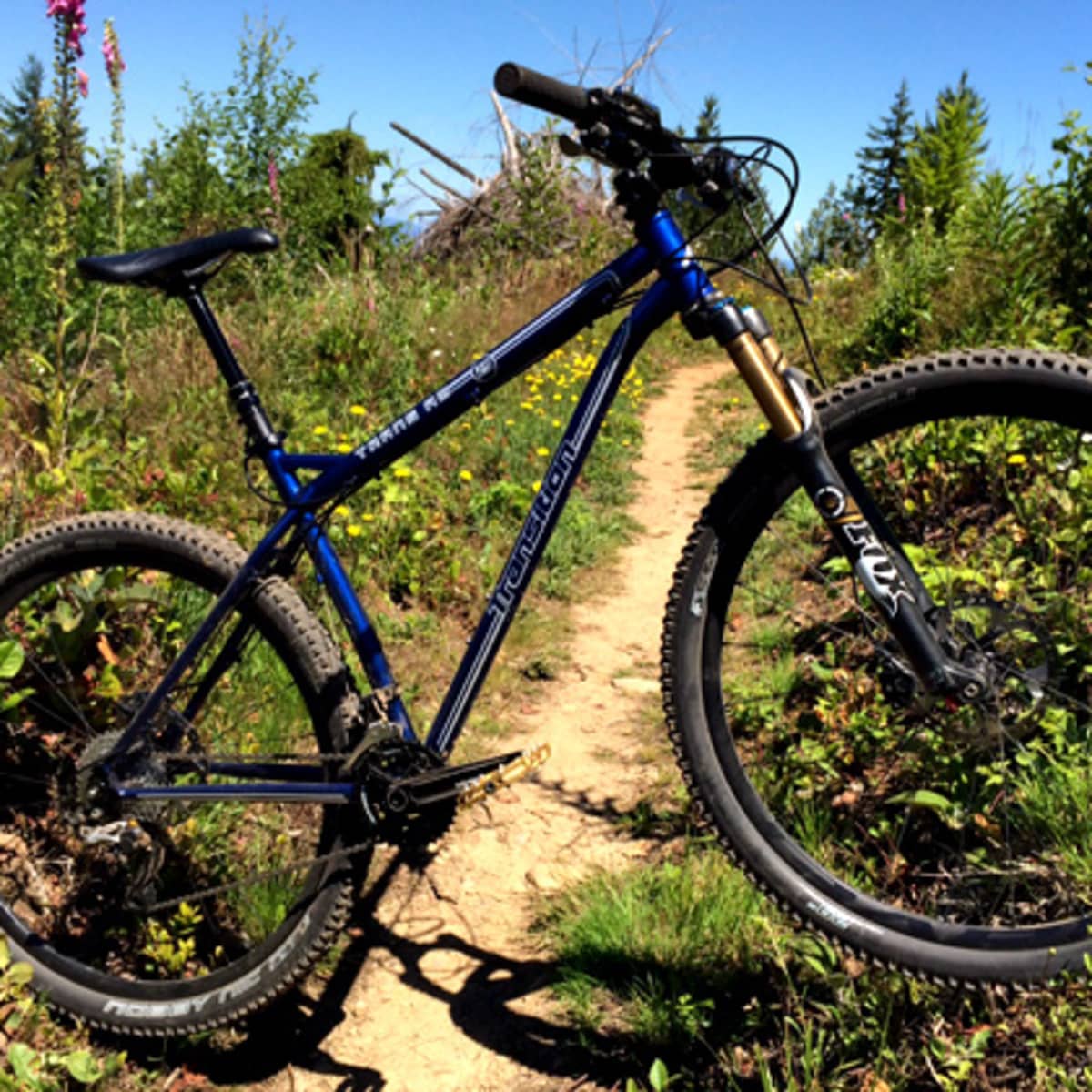 Transition hardtail 29 top