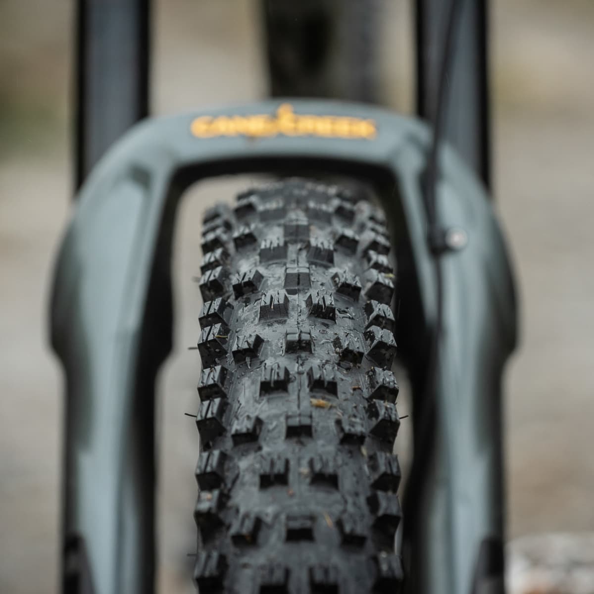 Wtb 2.8 store tires