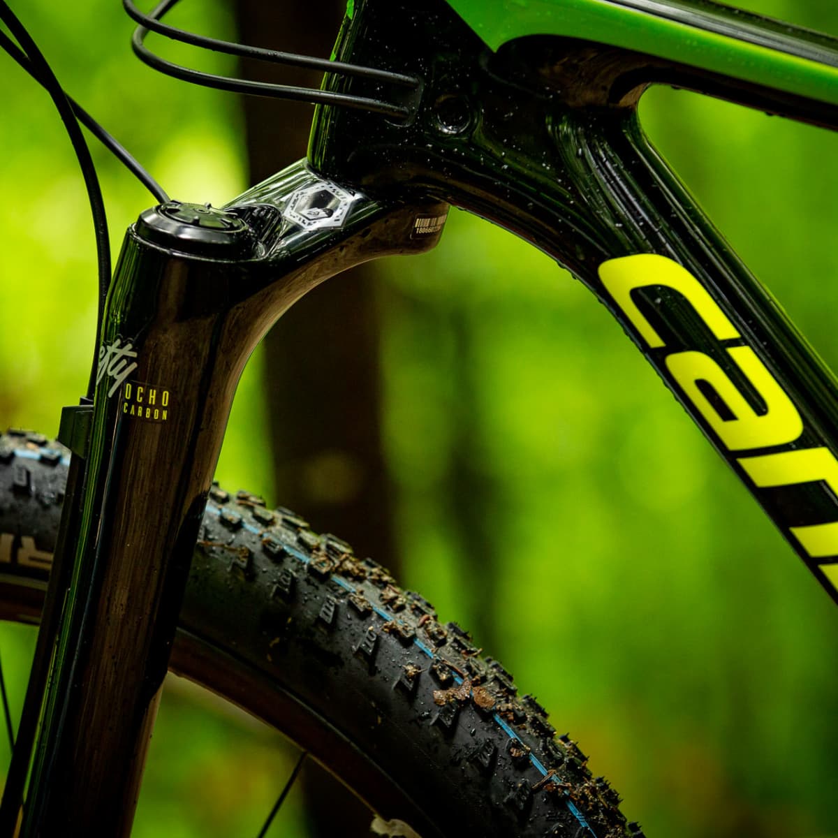 Single fork clearance mountain bike