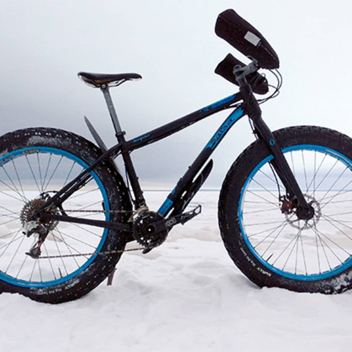 Beargrease bike sales