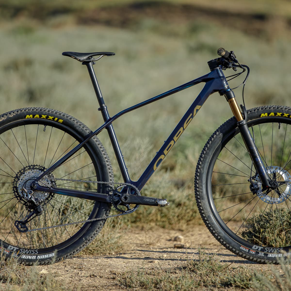 Orbea hardtail sale bikes