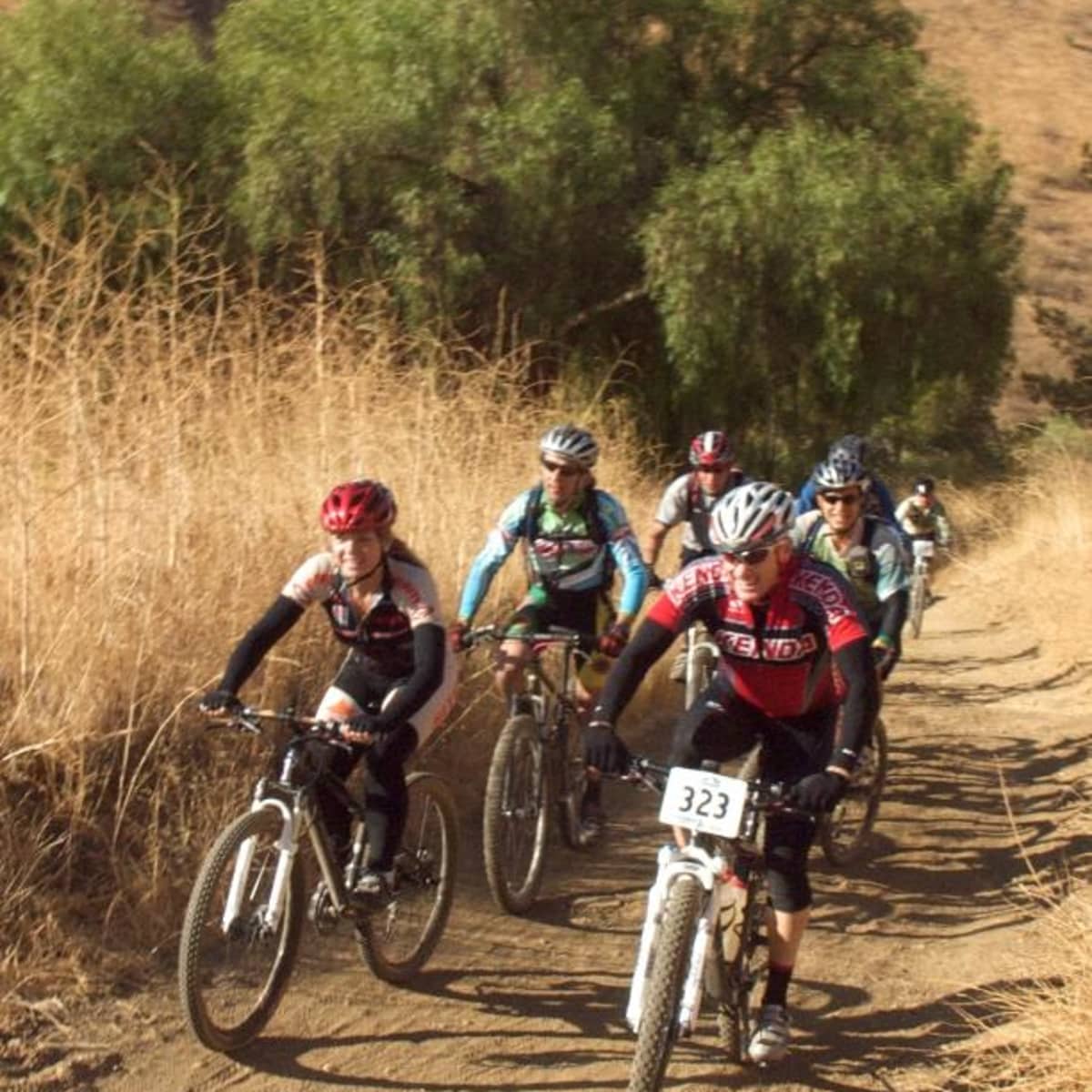 Corba mtb new arrivals