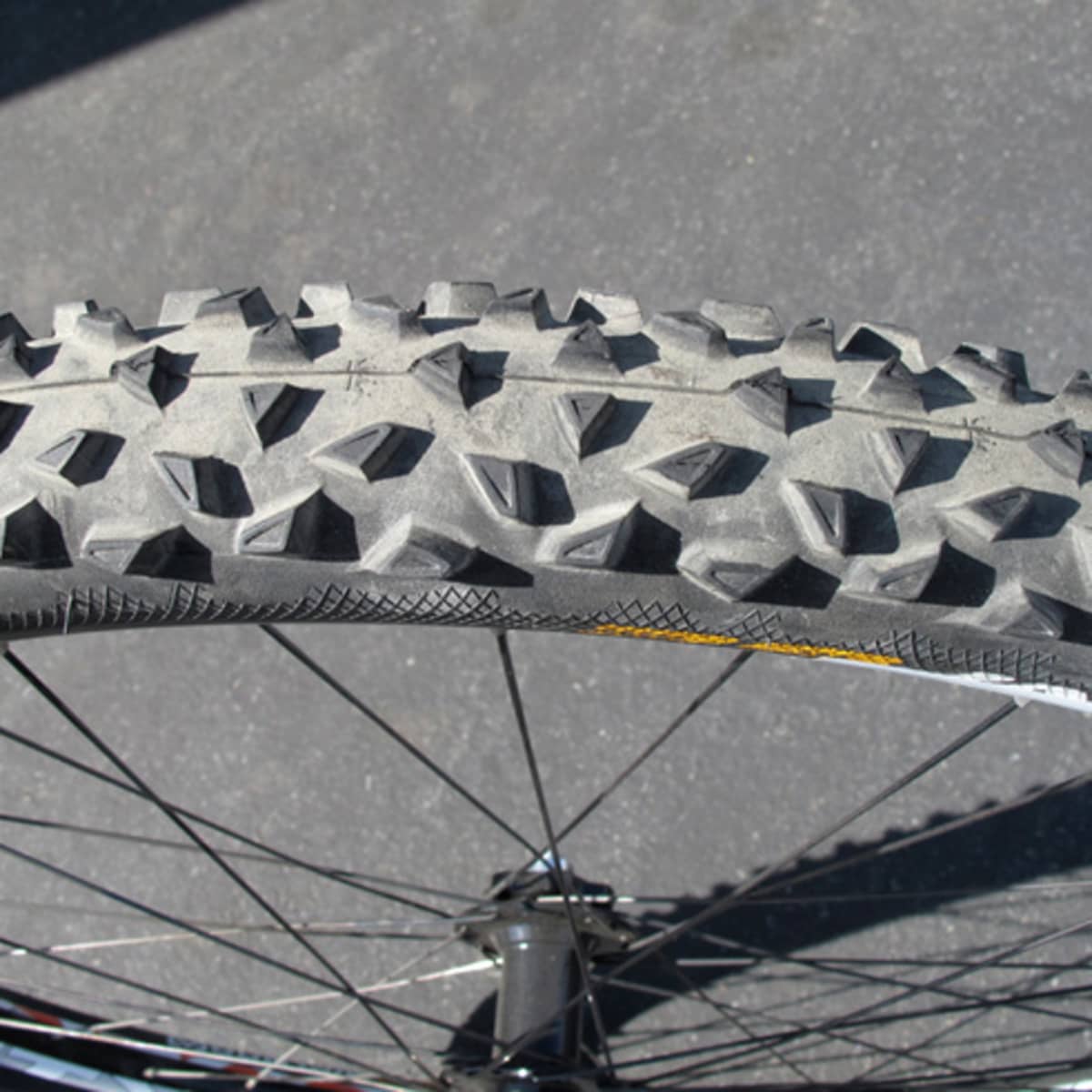 Review Continental Mountain King 29er 2.4 BikeMag