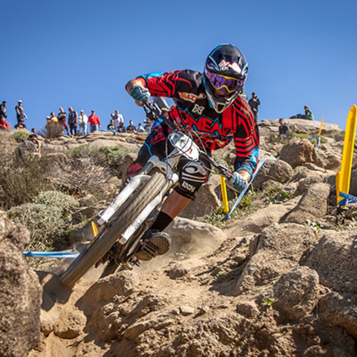 Super d mtb sales
