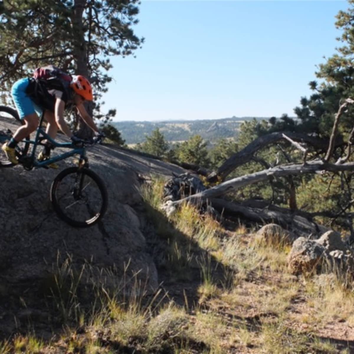 Curt gowdy mountain biking new arrivals