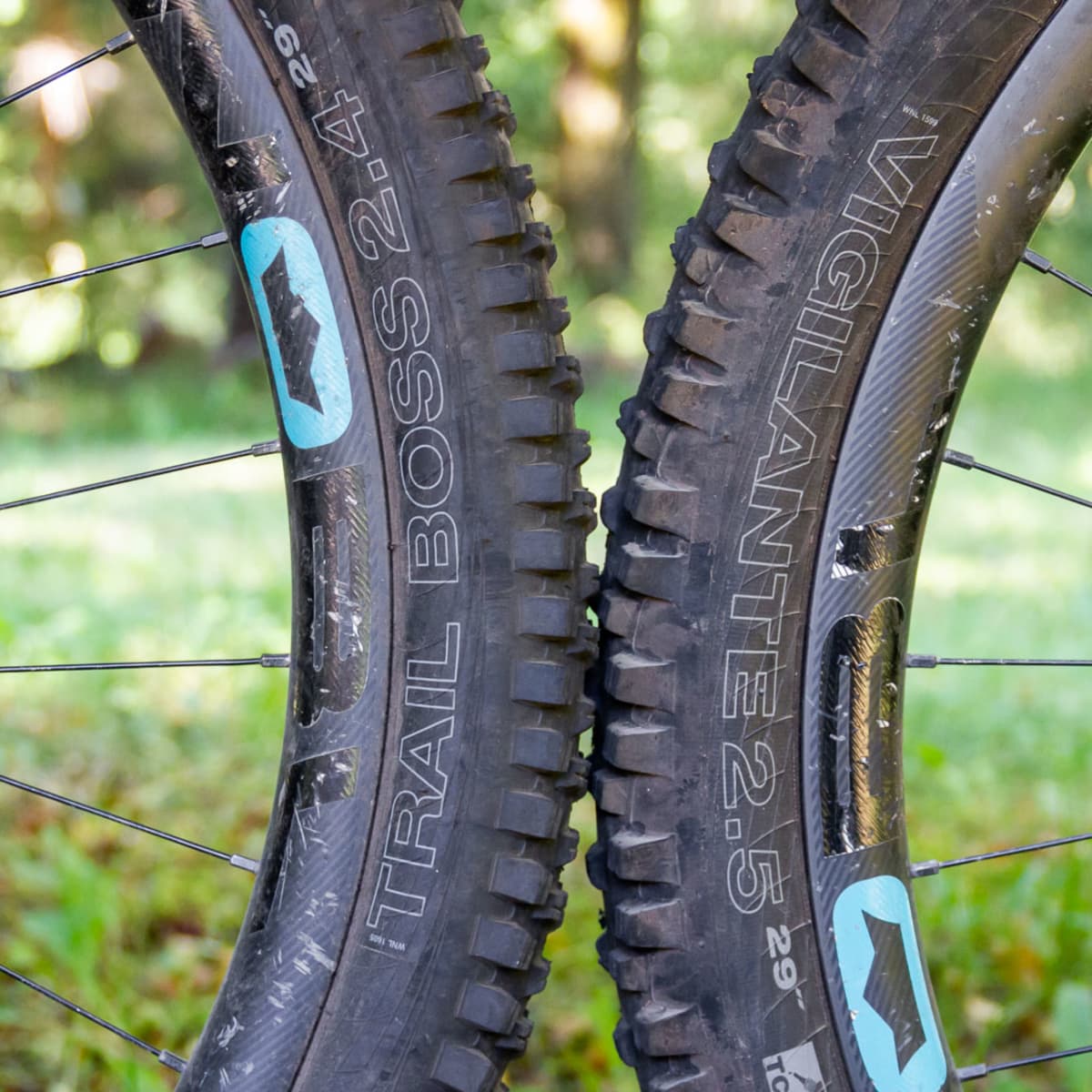 Tested WTB Vigilante 2.5 and Trail Boss 2.4 BikeMag